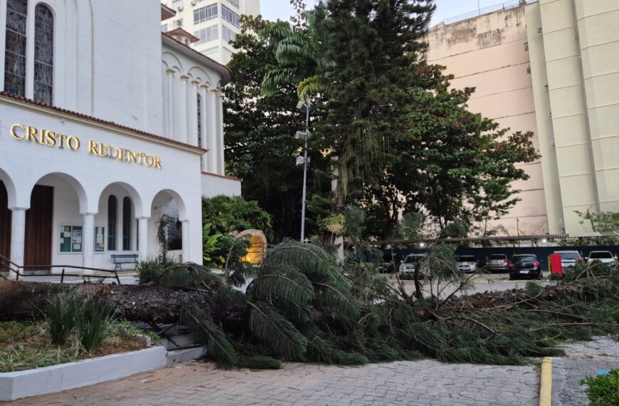 Queda do pinheiro da Paróquia